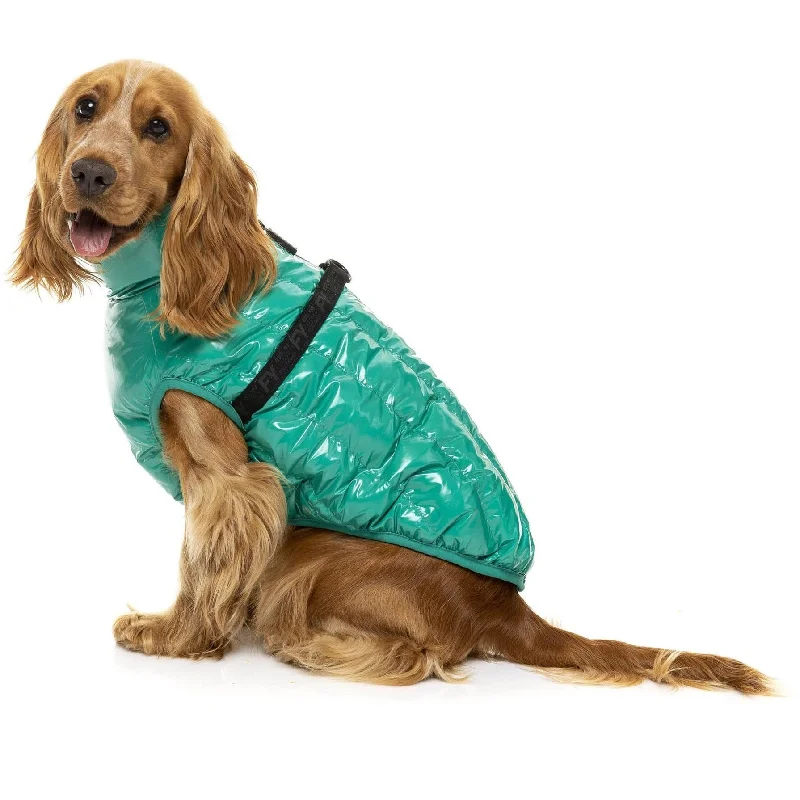 Calabasas Dog Jacket - Sea Green