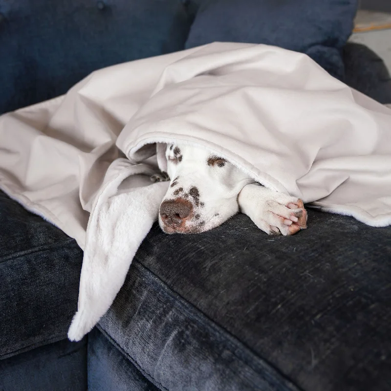 Dog & Puppy Blanket in Oyster Velvet By Lords & Labradors