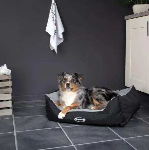 Expedition Box Bed - Dog Beds