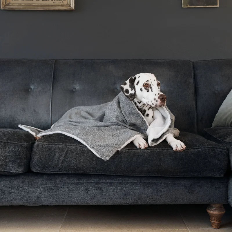 Dog & Puppy Blanket in Inchmurrin Ground By Lords & Labradors