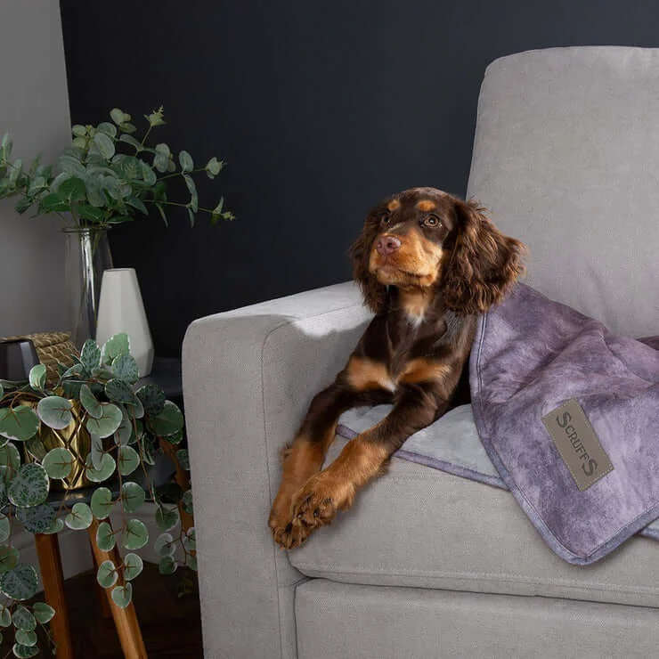 Scruffs Kensington Luxury Reversible Pet Blanket