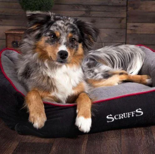 Scruffs Thermal Dog Bed