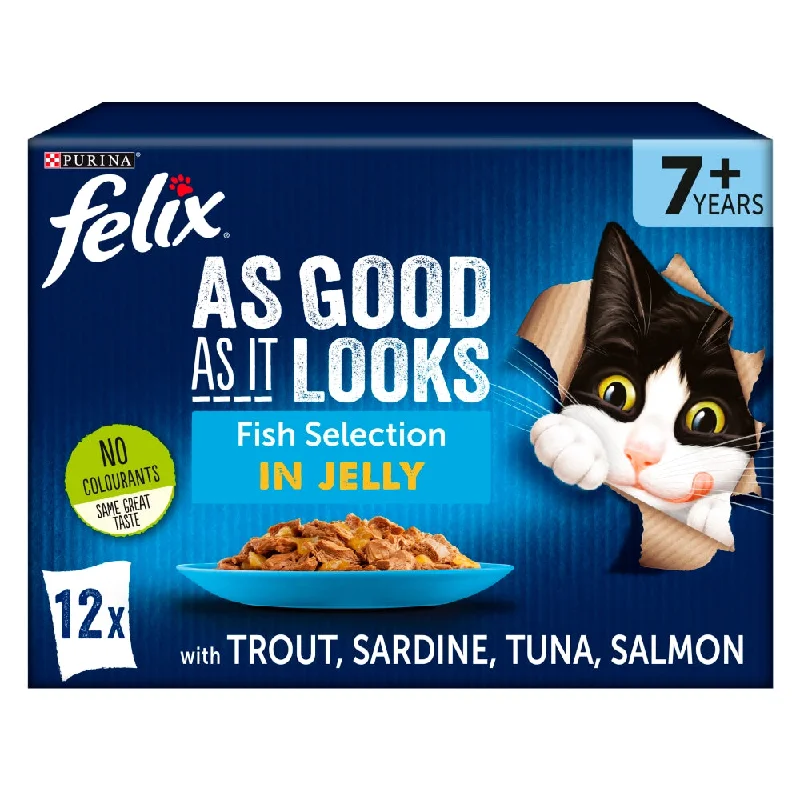 Felix Pouch As Good As It Looks Senior Fish 100gx12