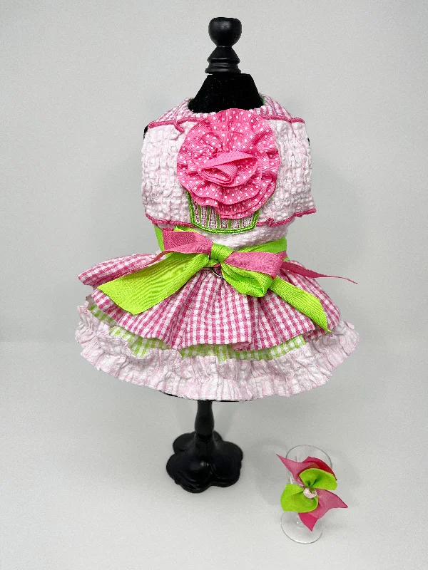 012  Fancy Pink and Green Dress with Bow Size XXS