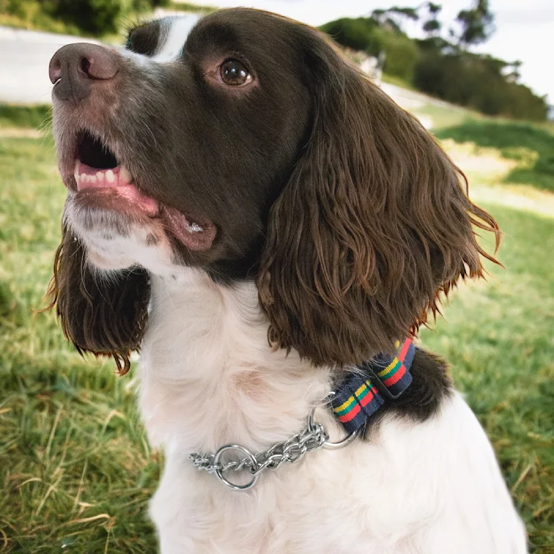 Corps Coloured Martingale Dog Collar