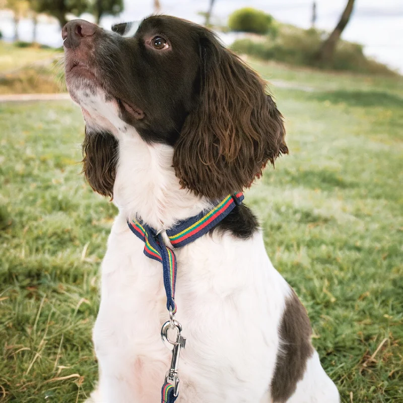 Corps Coloured Slip Dog Collar