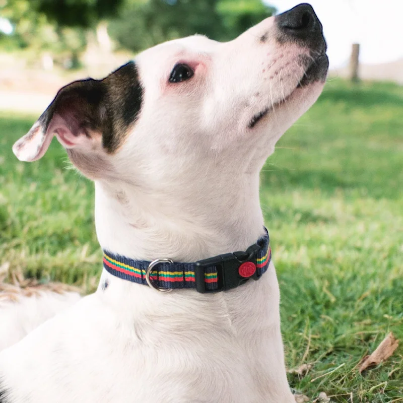 Corps Coloured Small Clip Dog Collar