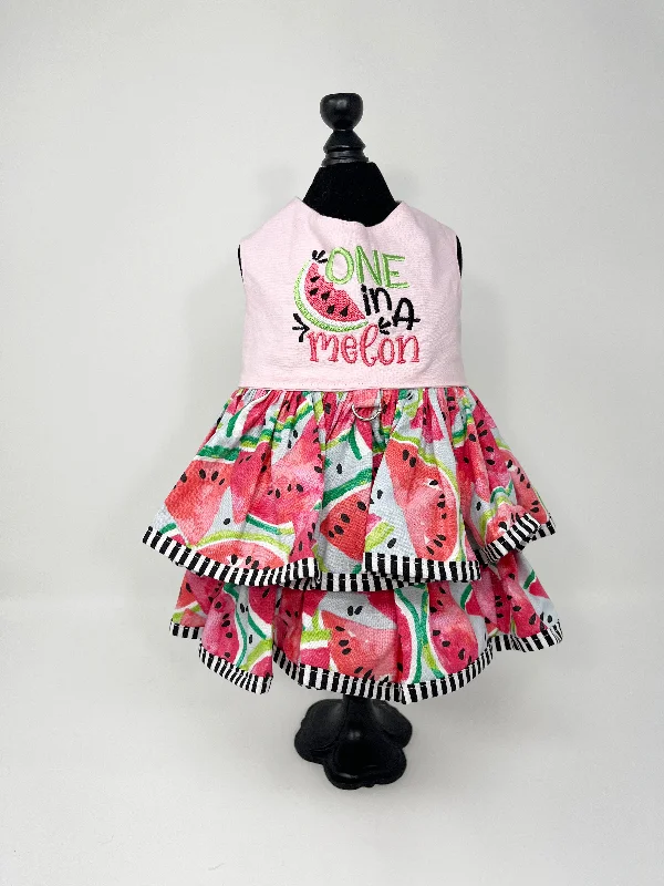 042  Watermelon Theme Dress Size L