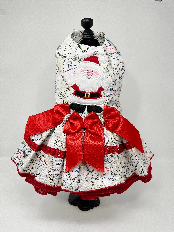 105  North Pole Mail & Santa Dress.  Size M