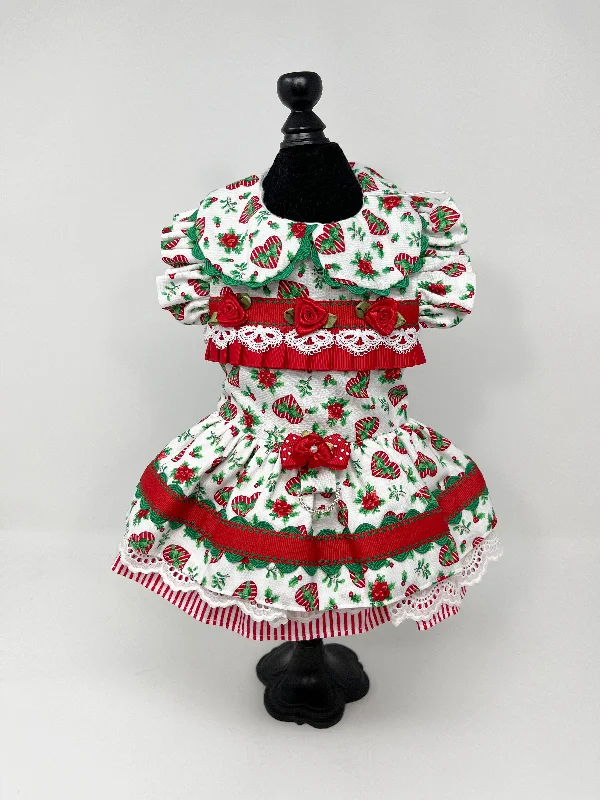 141  Red, White and Green Holiday Dress with Lace and Flower Embellishments. Size XXS