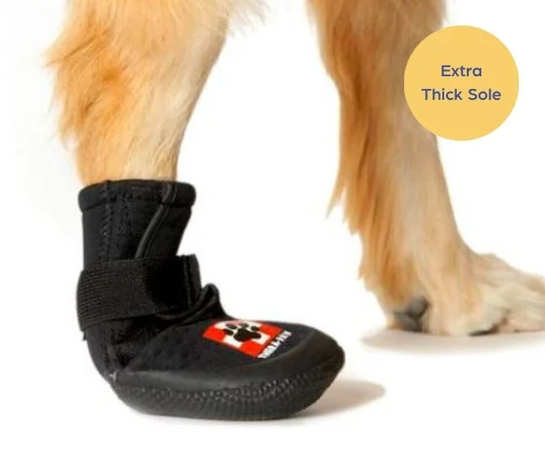 Therapaw Protective Dog Boot (Single Boot) - Extra Thick Sole