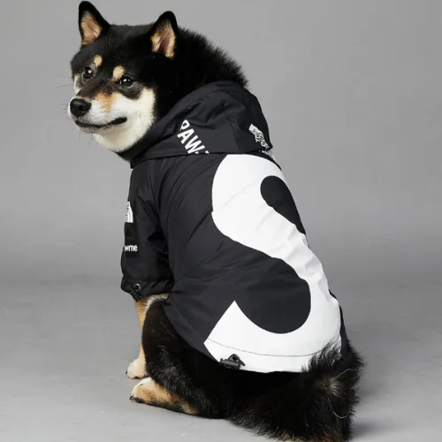 Anything Pets Black Rain Jacket