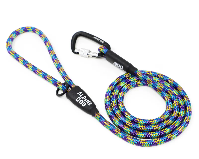 Arctic Lights Rope Leash