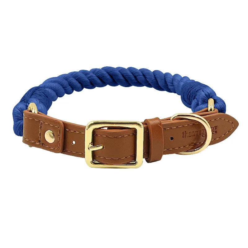 Boston Dog Collars