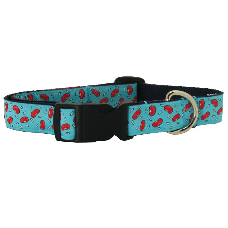 Caribbean Blue Red Beans & Rice Dog Collar