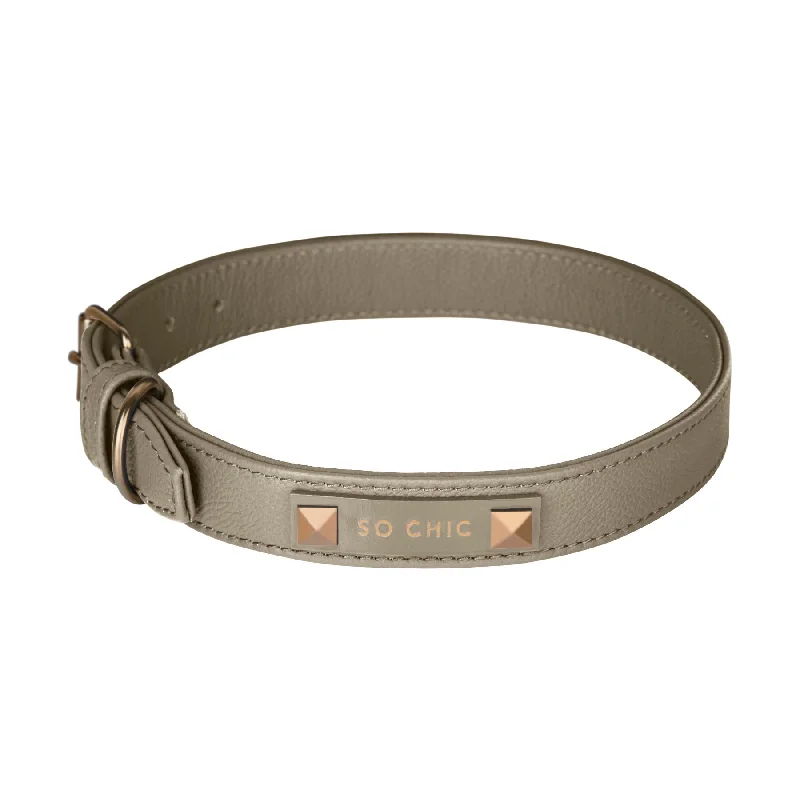 Dog collar - Taupe Éternel 🤎