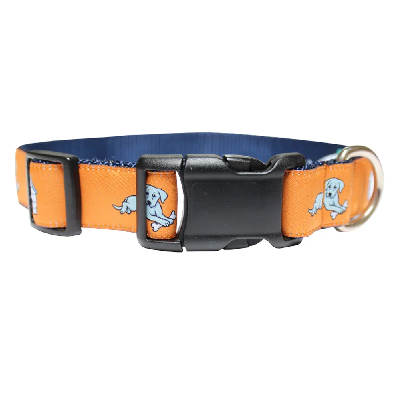 Citrus Orange In the Dog House Dog Collar