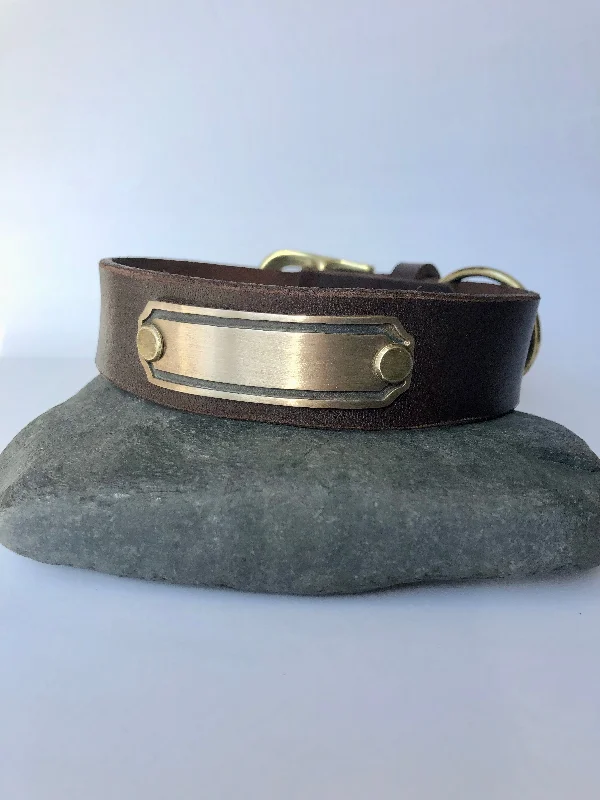 Dog Collar - Generic/Brass