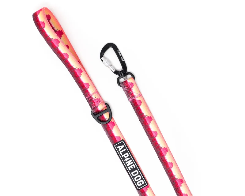 Desert Sun Adventure Leash