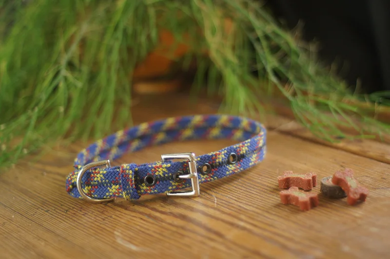 Dog Collar 0080