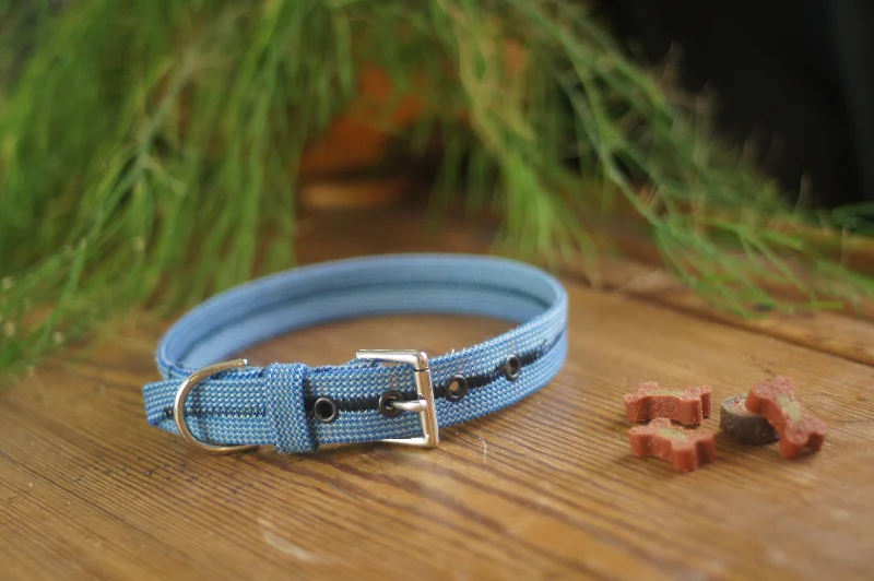 Dog Collar 0081