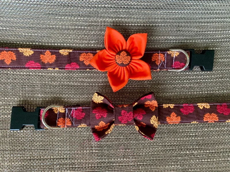 Fall Leaves Dog Collar