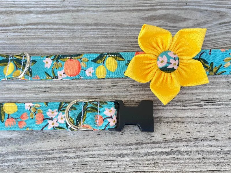 Florida Citrus Dog Collar