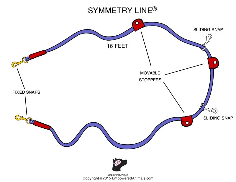 Symmetry Line: All-in-One Double-Ended Dog Leash 16 Feet 1/2 inch