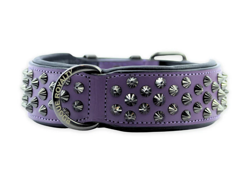 Hand Made Leather Dog Collar - Ruthless Purple & Black (Wide Fit)