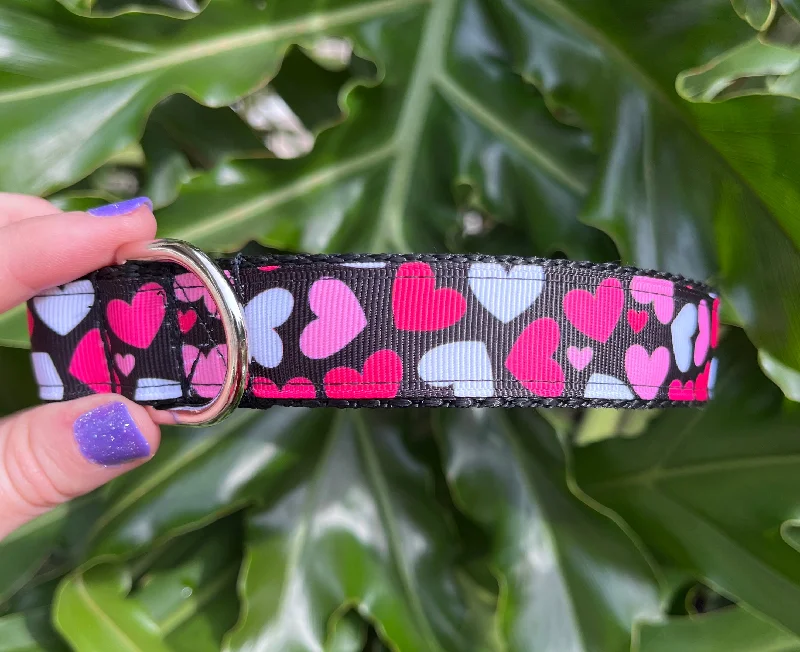 Oh My Heart Nylon Dog Collar