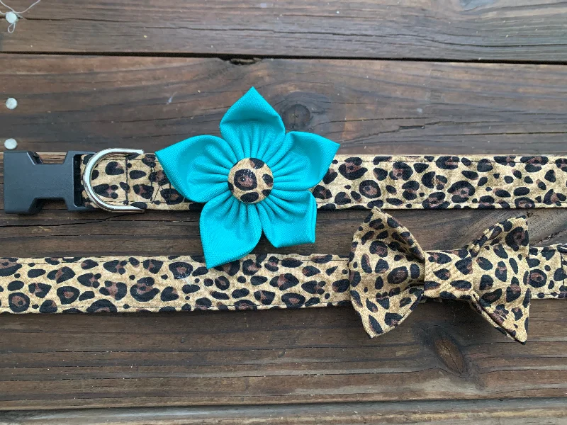 Jaguar Print Dog Collar