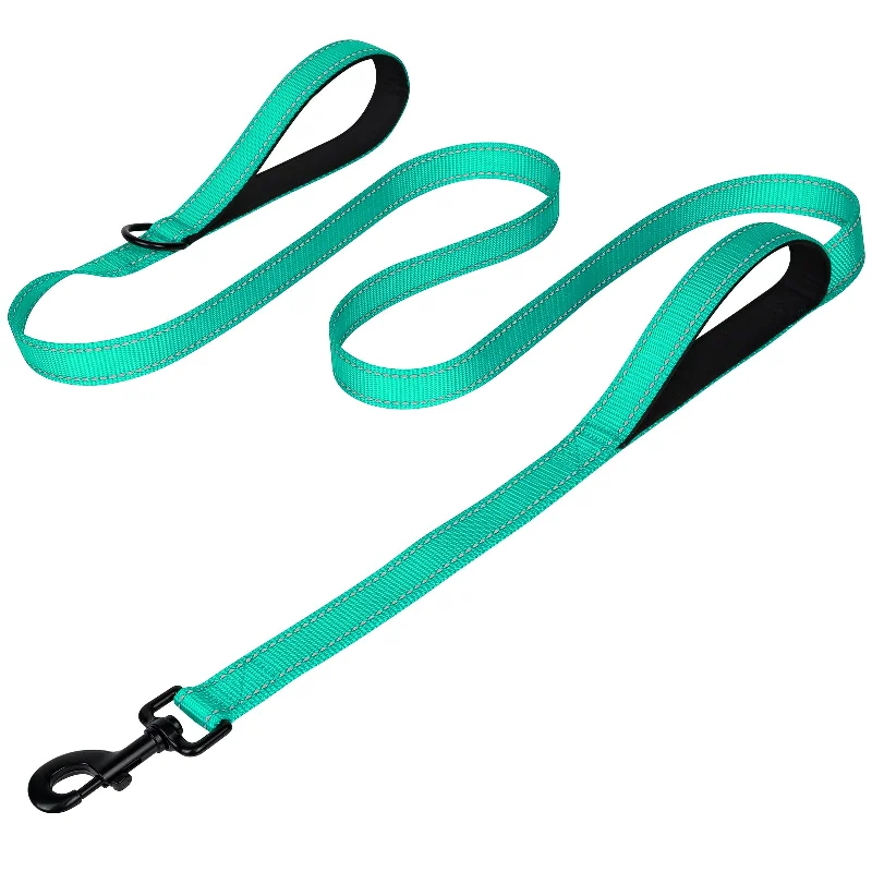 Joytale Heavy Duty Double Handle Double-Sided Reflective Dog Leash for Large Dogs