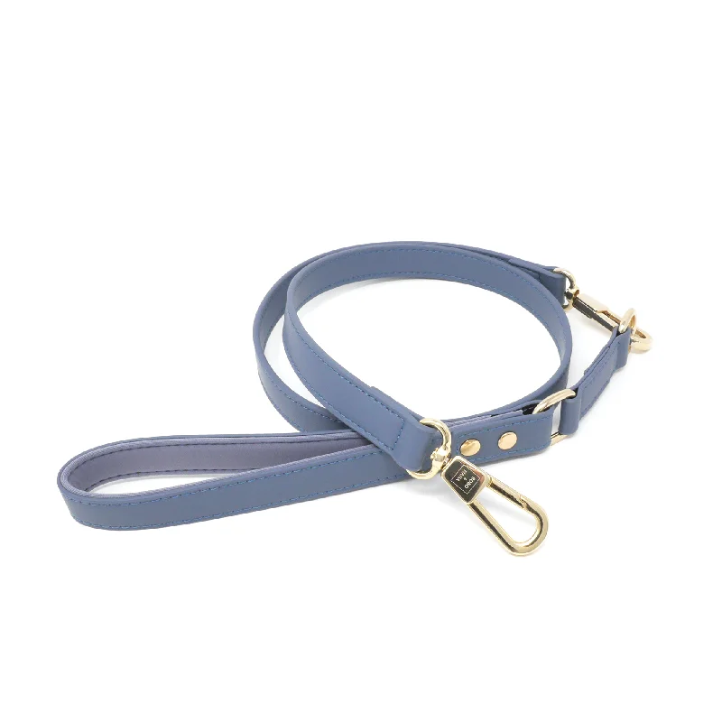 Leash - Stone Blue