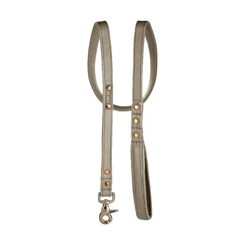 Dog leash - Taupe Éternel 🤎