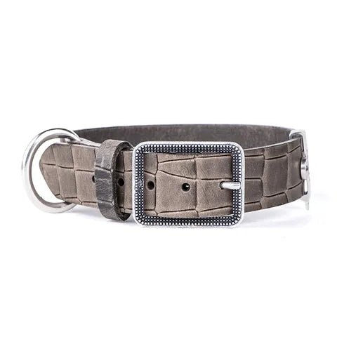 My Family Tucson Leather Collar