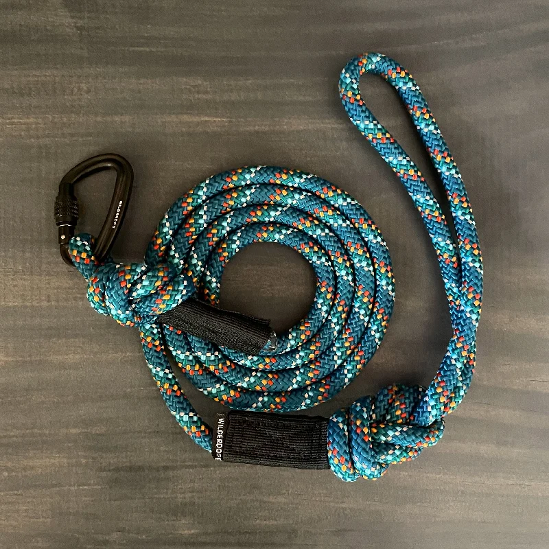 Pacific Blue Small Carabiner Reflective Leash