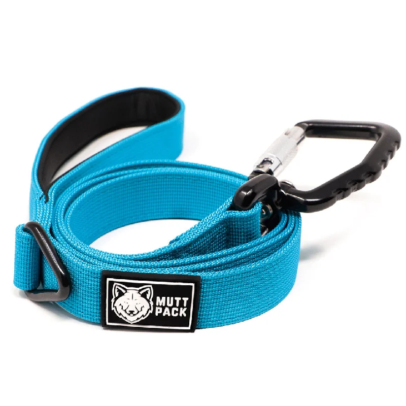 Premium Dog Leash - Ocean Blue (Large Auto-Locking Clasp)