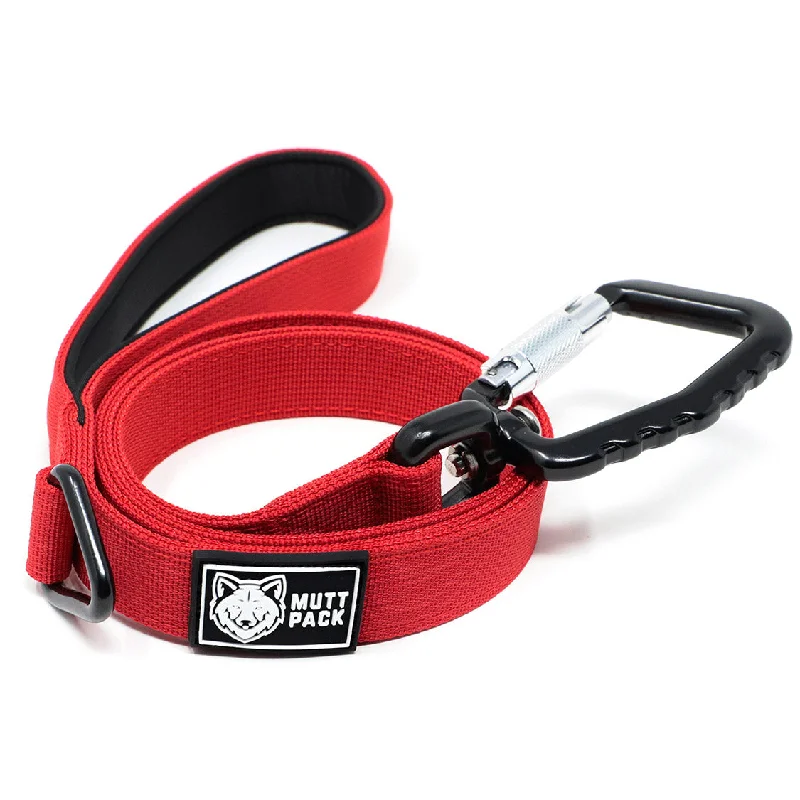 Premium Dog Leash - Red (Large Auto-Locking Clasp)