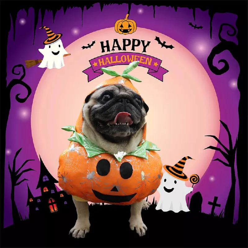 Pumpkin Dog Costume – Fun and Festive for Halloween