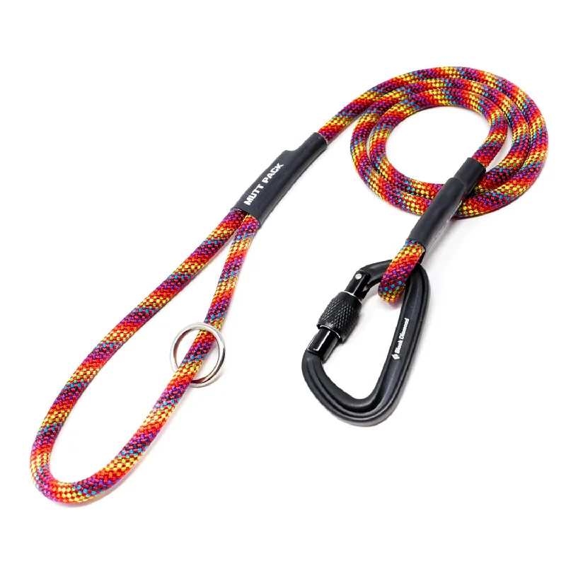 "Rainbow" Climbing Rope Leash (Carabiner)