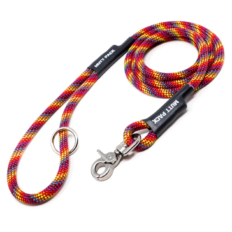 "Rainbow" Climbing Rope Leash (Swivel Clasp)