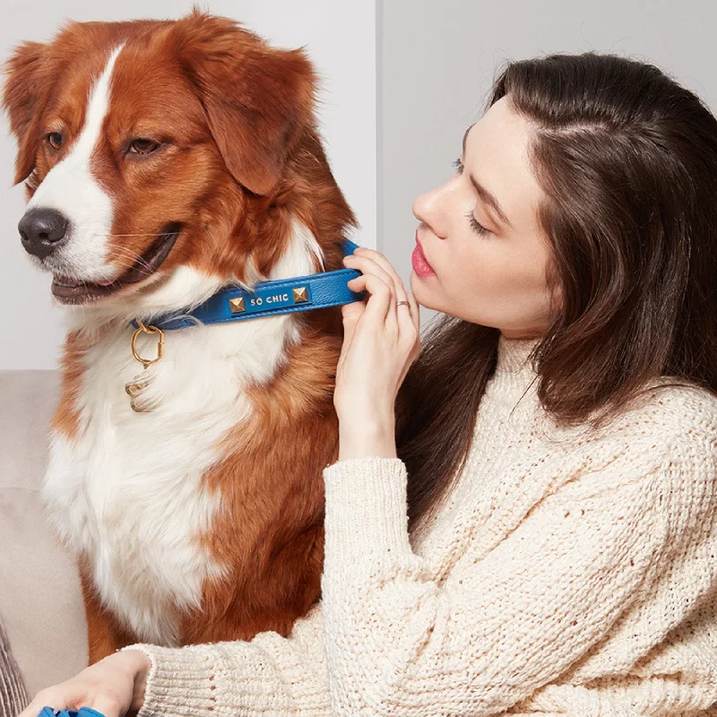 Dog collar - Royal Blue 💙