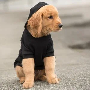 Shedrow K9 Brentwood Hoodie