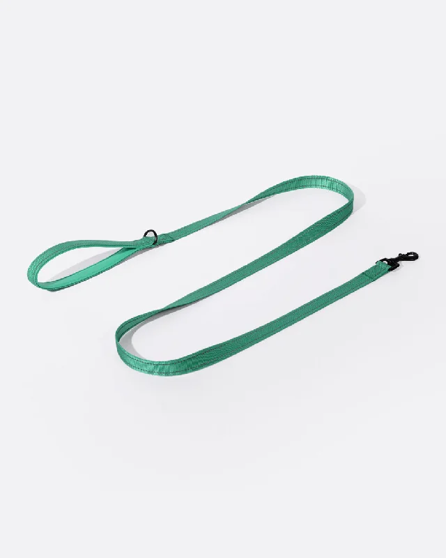 Simply Soft Reflective Dog Leash - Emerald