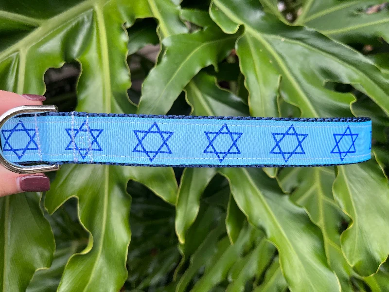 Star of David Hanukkah Dog Collar