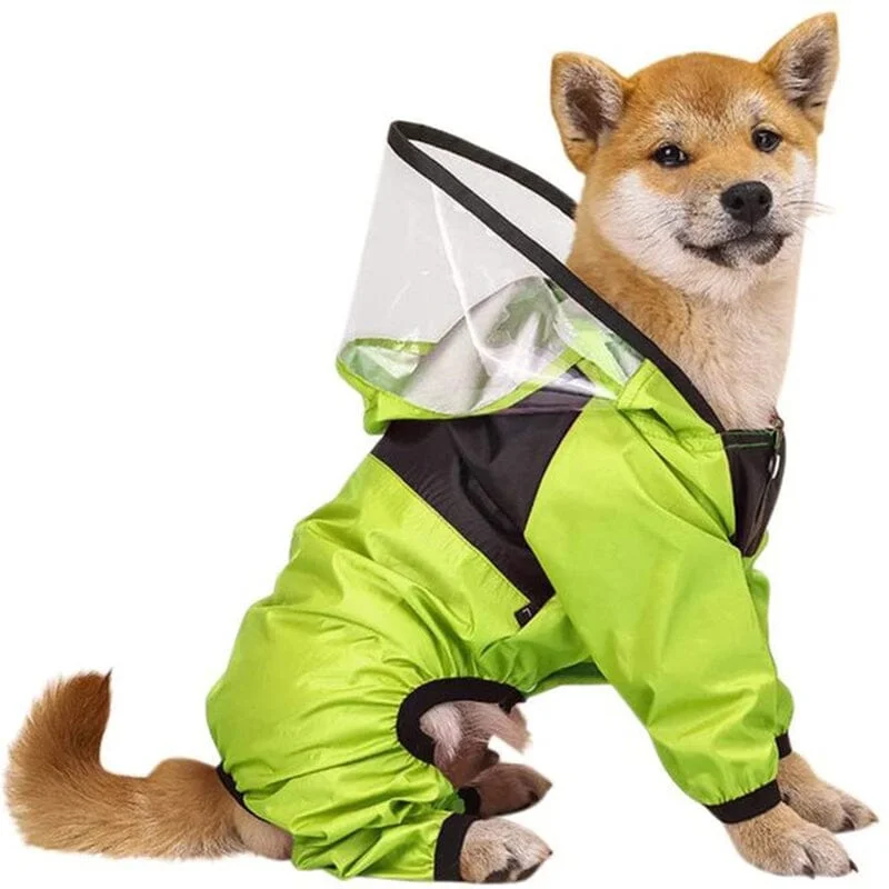 The Dog Face Raincoat