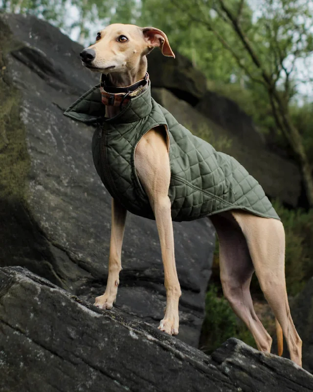 THE MARGOT Whippet Gilet