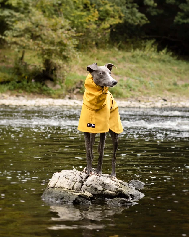 THE ROXY Lightweight, Water Resistant, Whippet Raincoat (Lights)