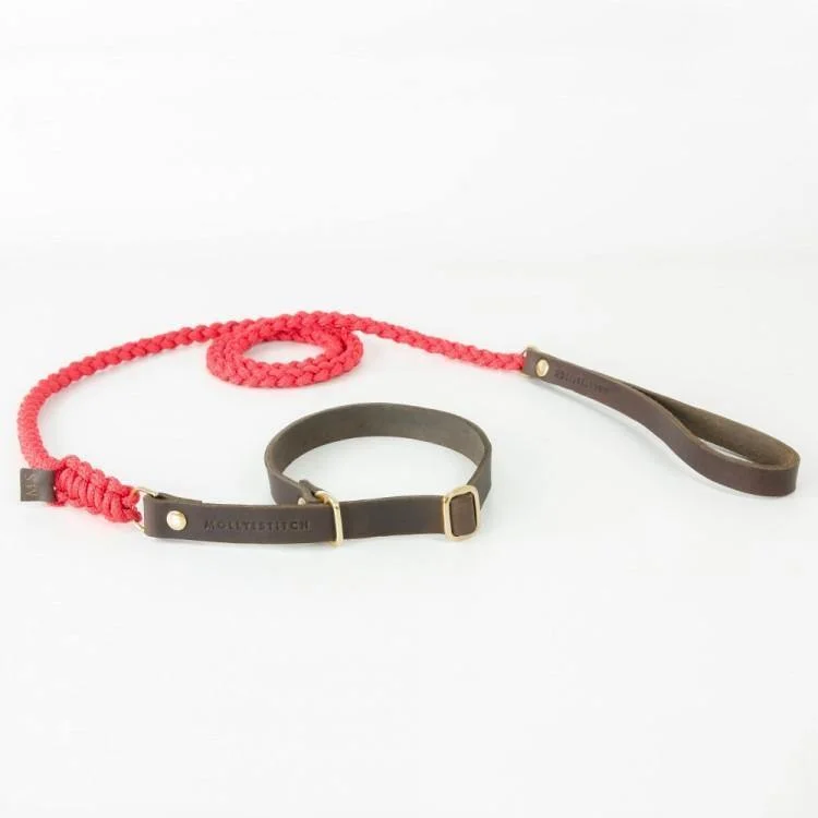 Touch of Leather Retriever Dog Leash - Lipstick