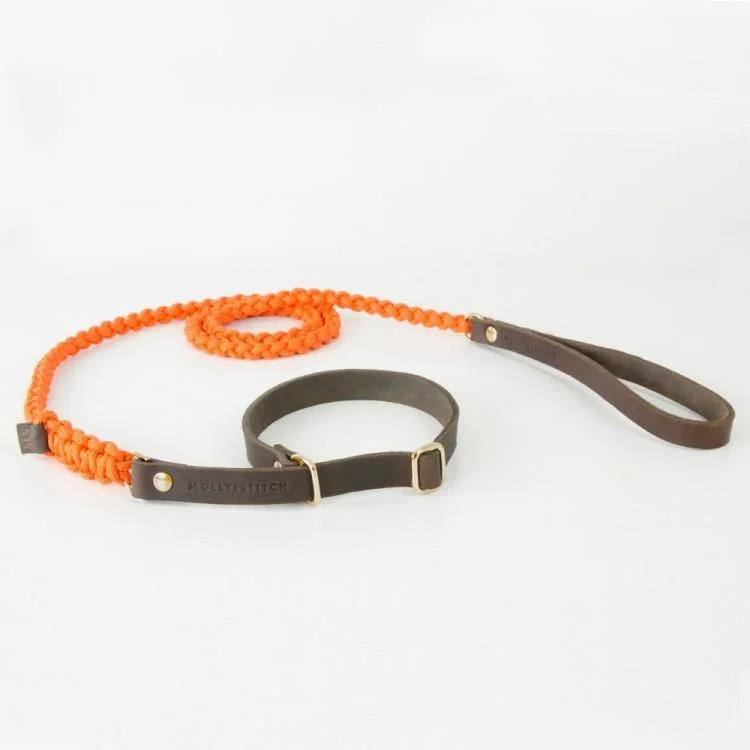 Touch of Leather Retriever Dog Leash - Pumpkin